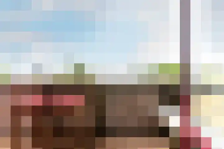 Zuiderzee op Zuid 69 Biddinghuizen thumbnail 30