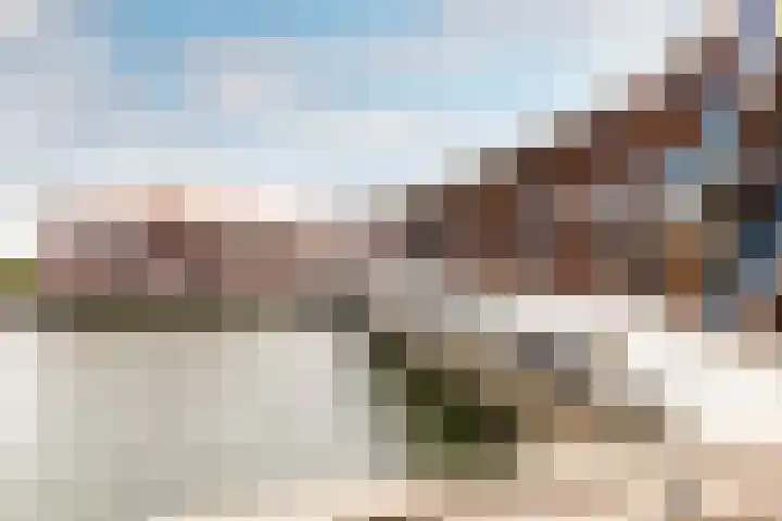 Zuiderzee op Zuid 69 Biddinghuizen thumbnail 31