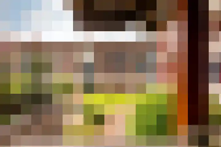 Zuiderzee op Zuid 69 Biddinghuizen thumbnail 33