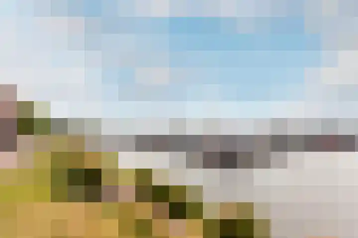 Zuiderzee op Zuid 69 Biddinghuizen thumbnail 36