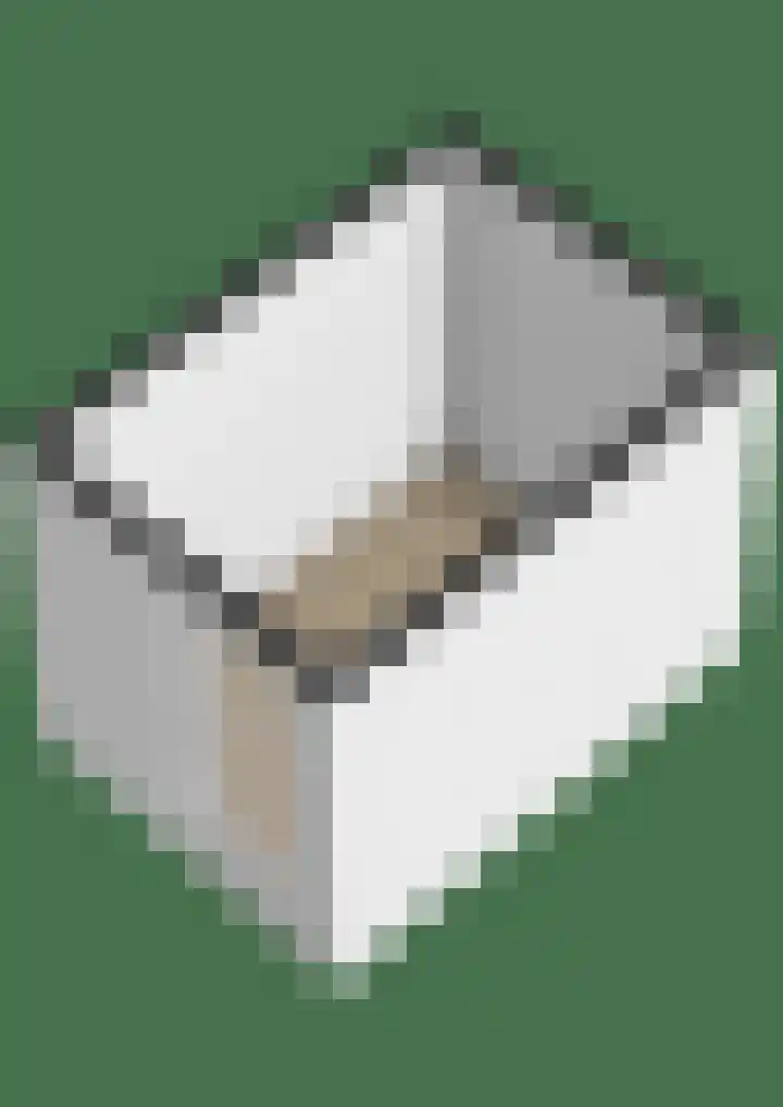 Zuiderzee op Zuid 69 Biddinghuizen thumbnail 42