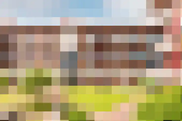Zuiderzee op Zuid 69 Biddinghuizen thumbnail 5