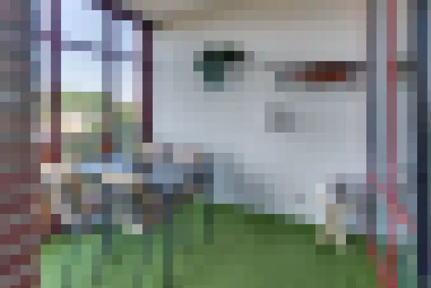 Zuiderzee op Zuid 70 Biddinghuizen thumbnail 13