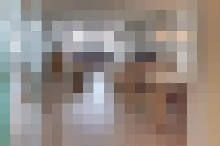 Zuiderzee op Zuid 71 Biddinghuizen thumbnail 8