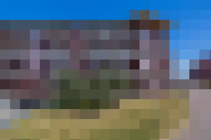 Zuiderzee op Zuid 72 Biddinghuizen thumbnail 23