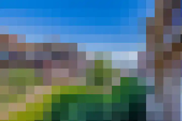 Zuiderzee op Zuid 72 Biddinghuizen thumbnail 27