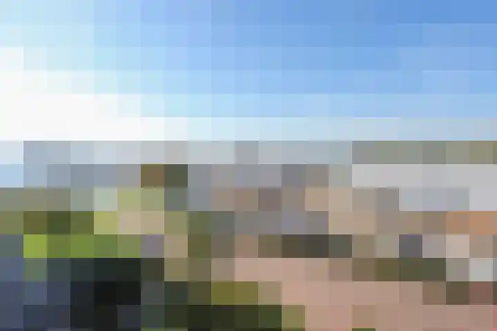 Zuiderzee op Zuid 75 Biddinghuizen thumbnail 27