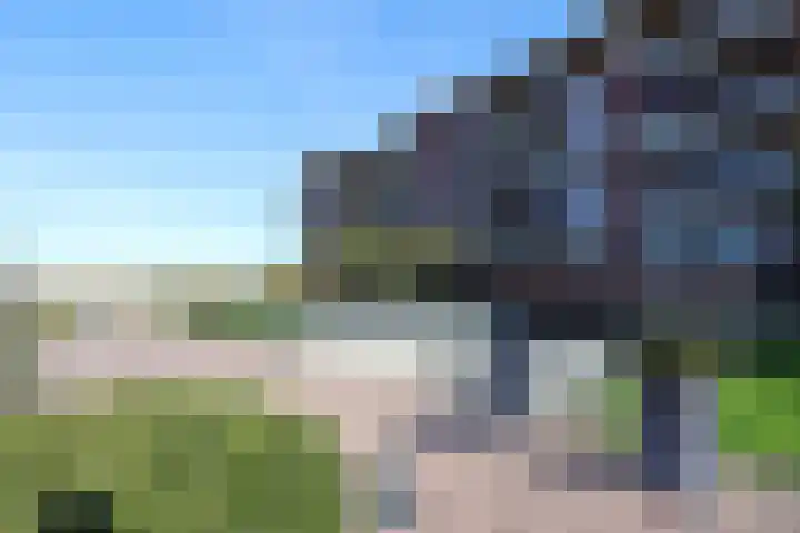 Zuiderzee op Zuid 75 Biddinghuizen thumbnail 40