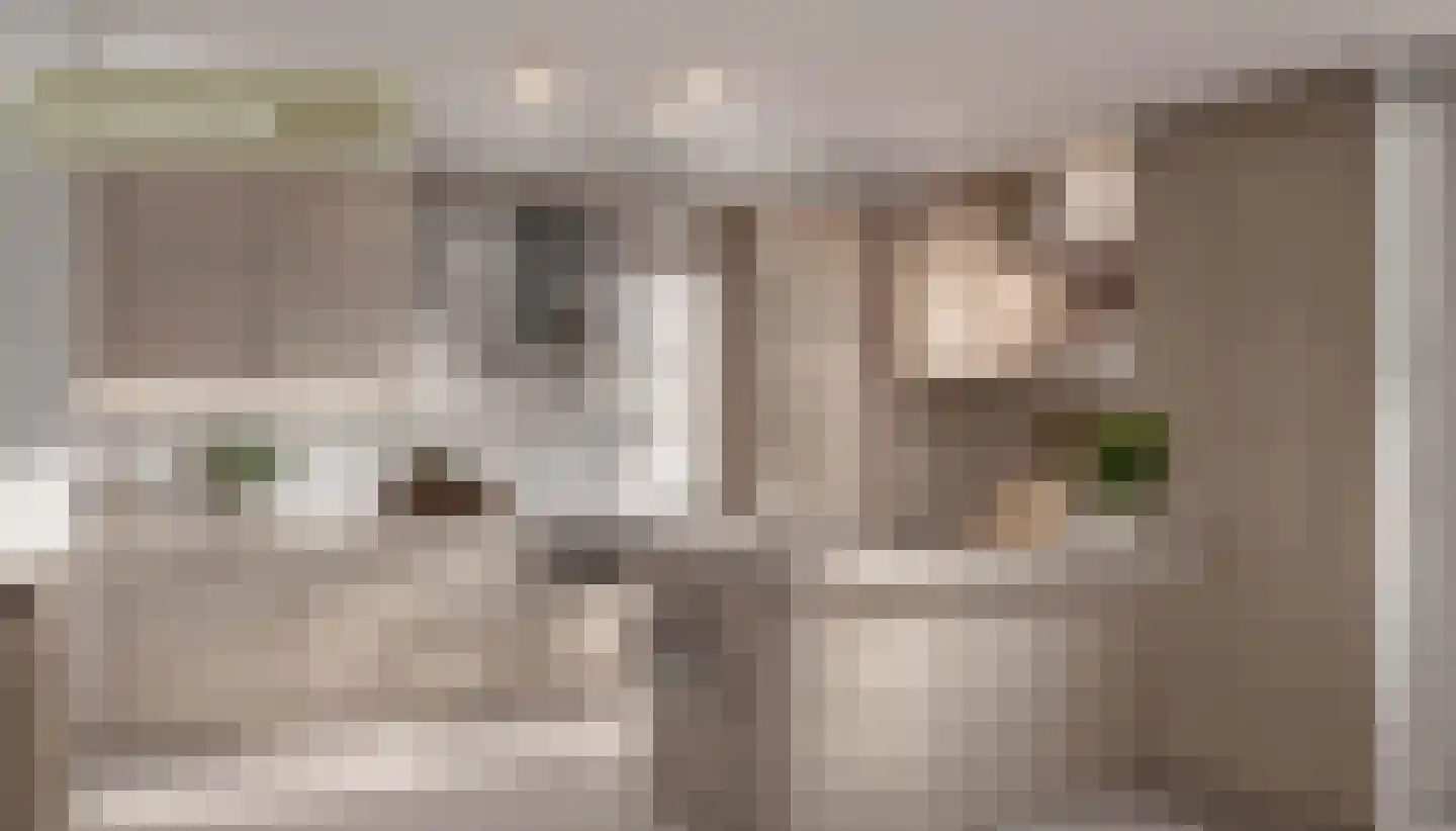 Zuiderzee op Zuid 83 Biddinghuizen thumbnail 17