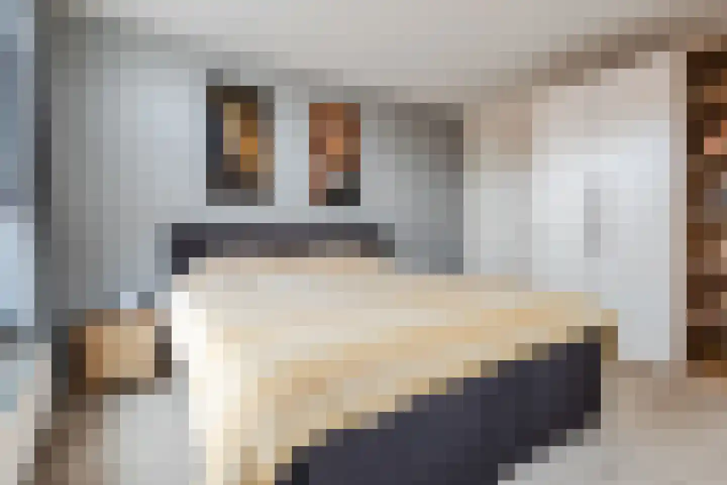 Zuiderzee op Zuid 9 Biddinghuizen thumbnail 20