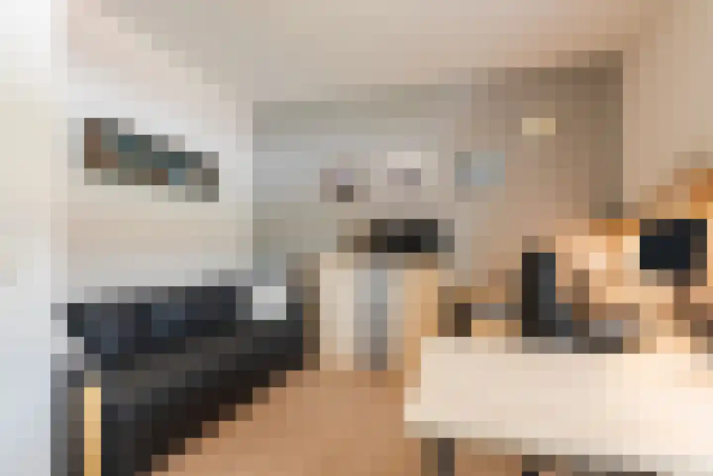 Zuiderzee op Zuid 9 Biddinghuizen thumbnail 23