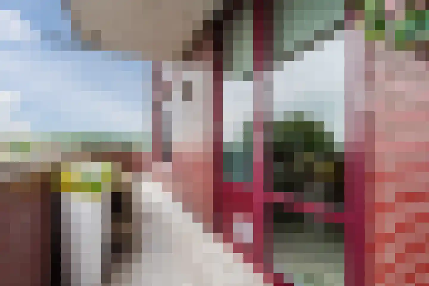 Zuiderzee op Zuid 9 Biddinghuizen thumbnail 36