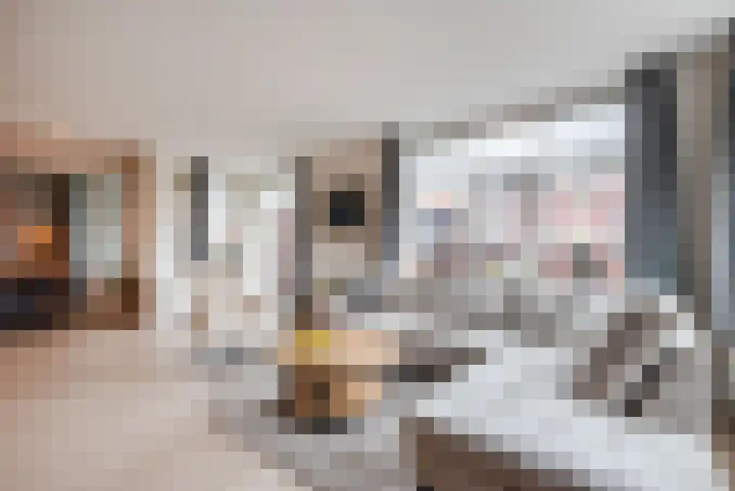Zuiderzee op Zuid 9 Biddinghuizen thumbnail 8