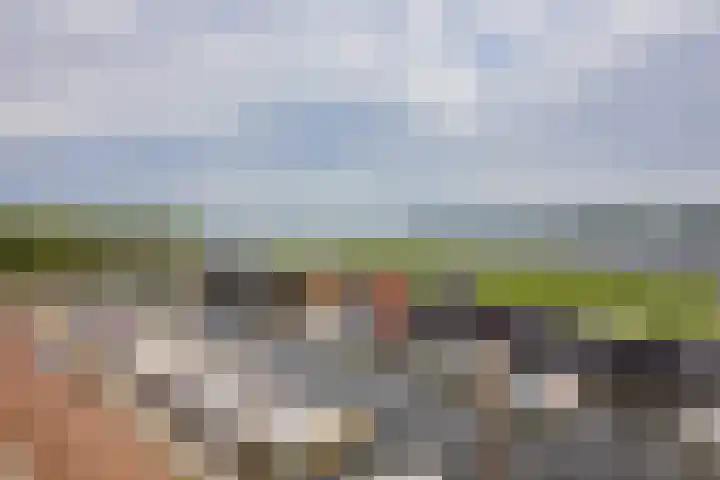 Zuiderzeeboulevard 30 Bunschoten-Spakenburg thumbnail 7