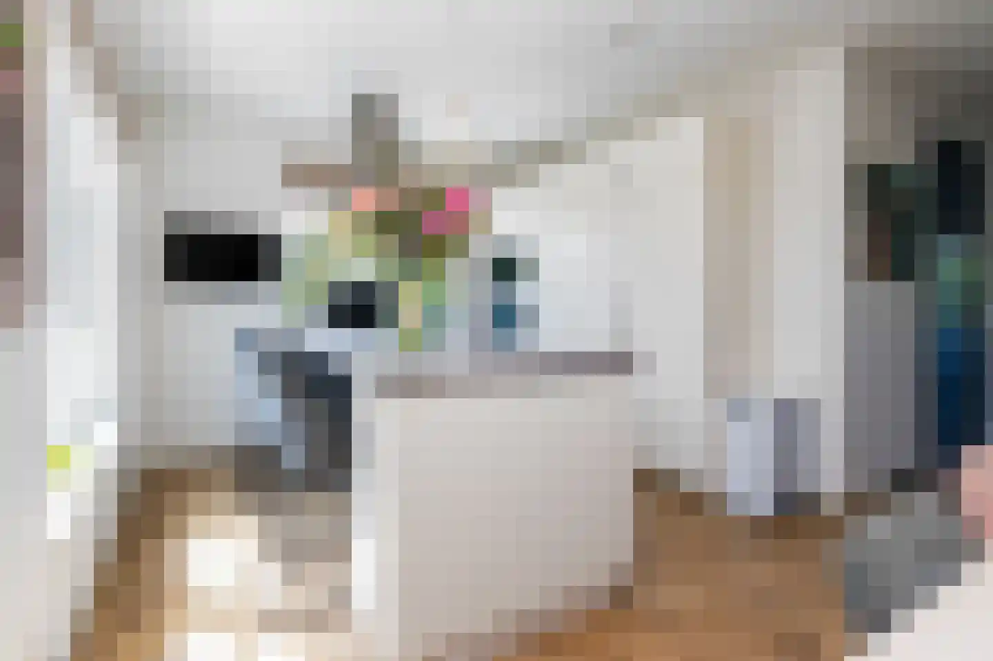 Zuiderzeedreef 1 Blaricum thumbnail 10