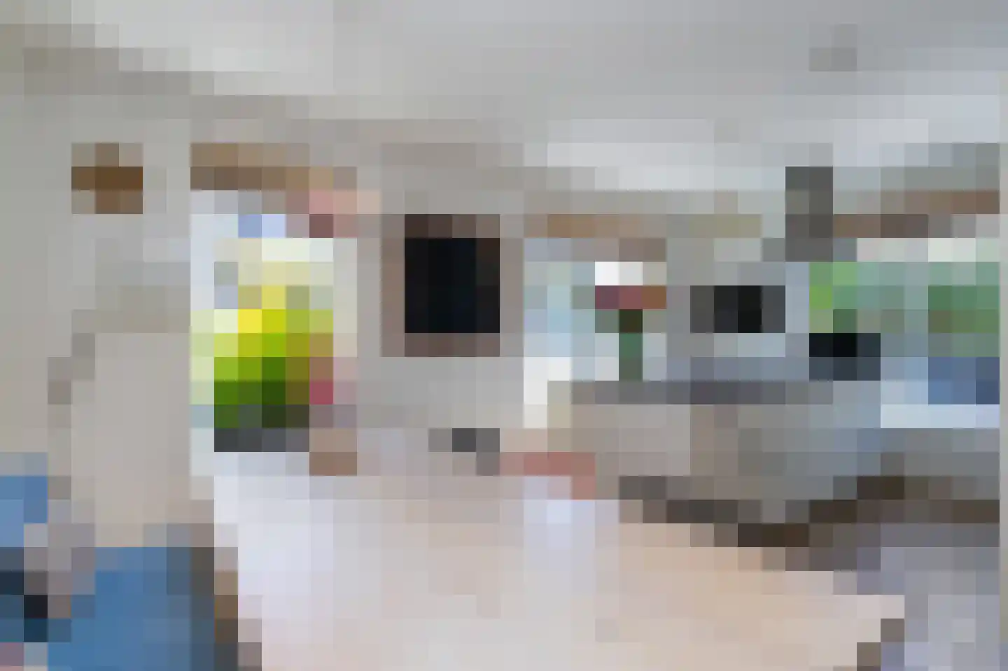 Zuiderzeedreef 1 Blaricum thumbnail 11