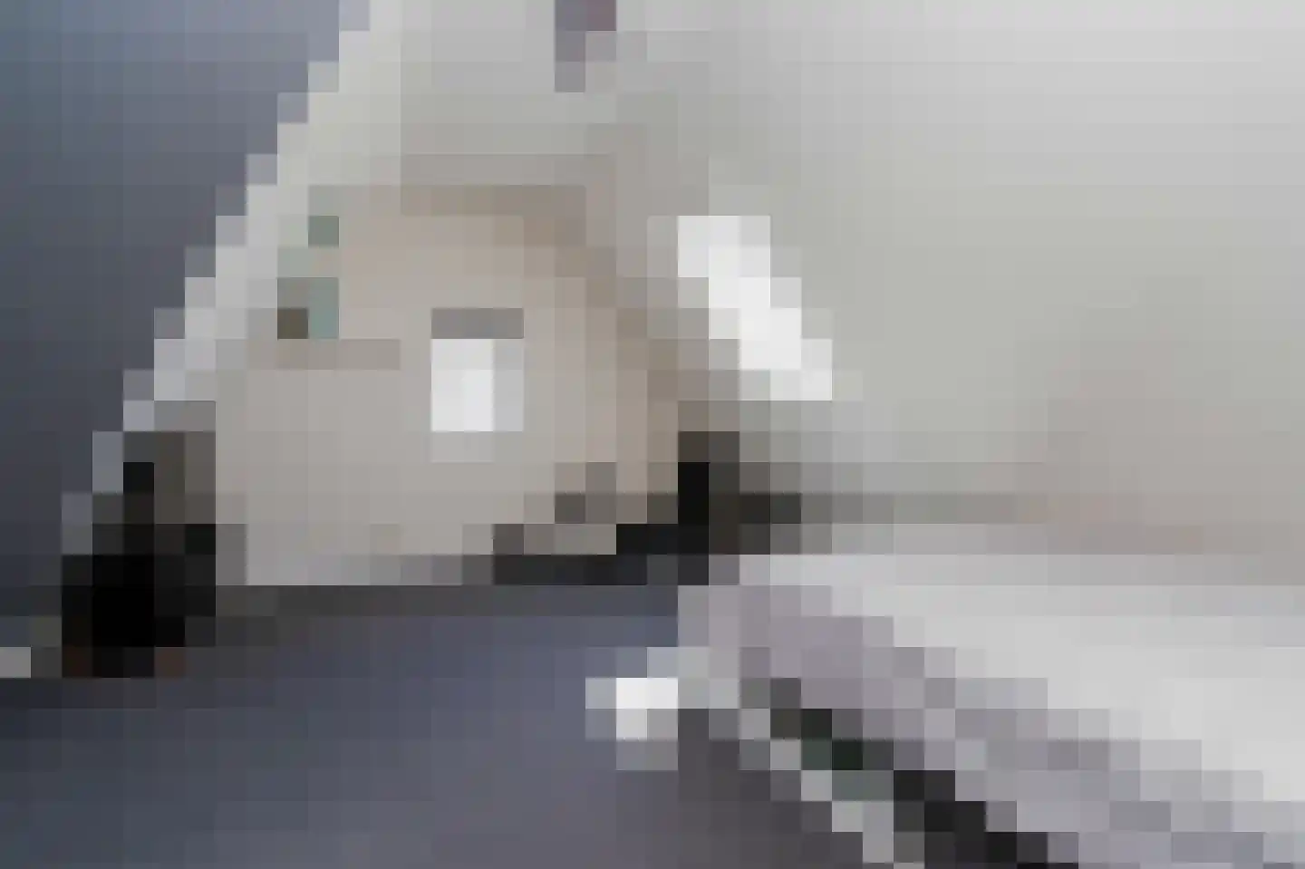Zuiderzeedreef 1 Blaricum thumbnail 18