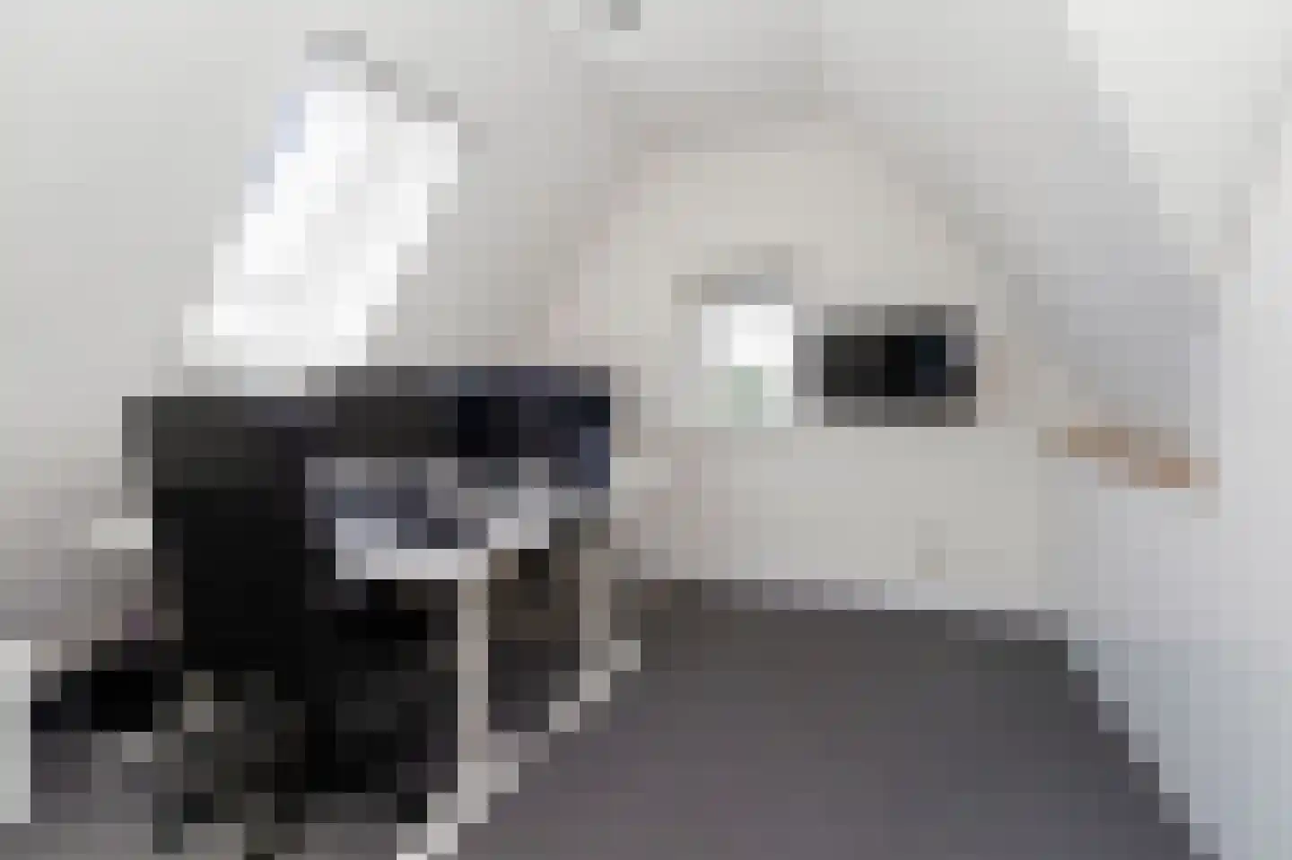 Zuiderzeedreef 1 Blaricum thumbnail 19