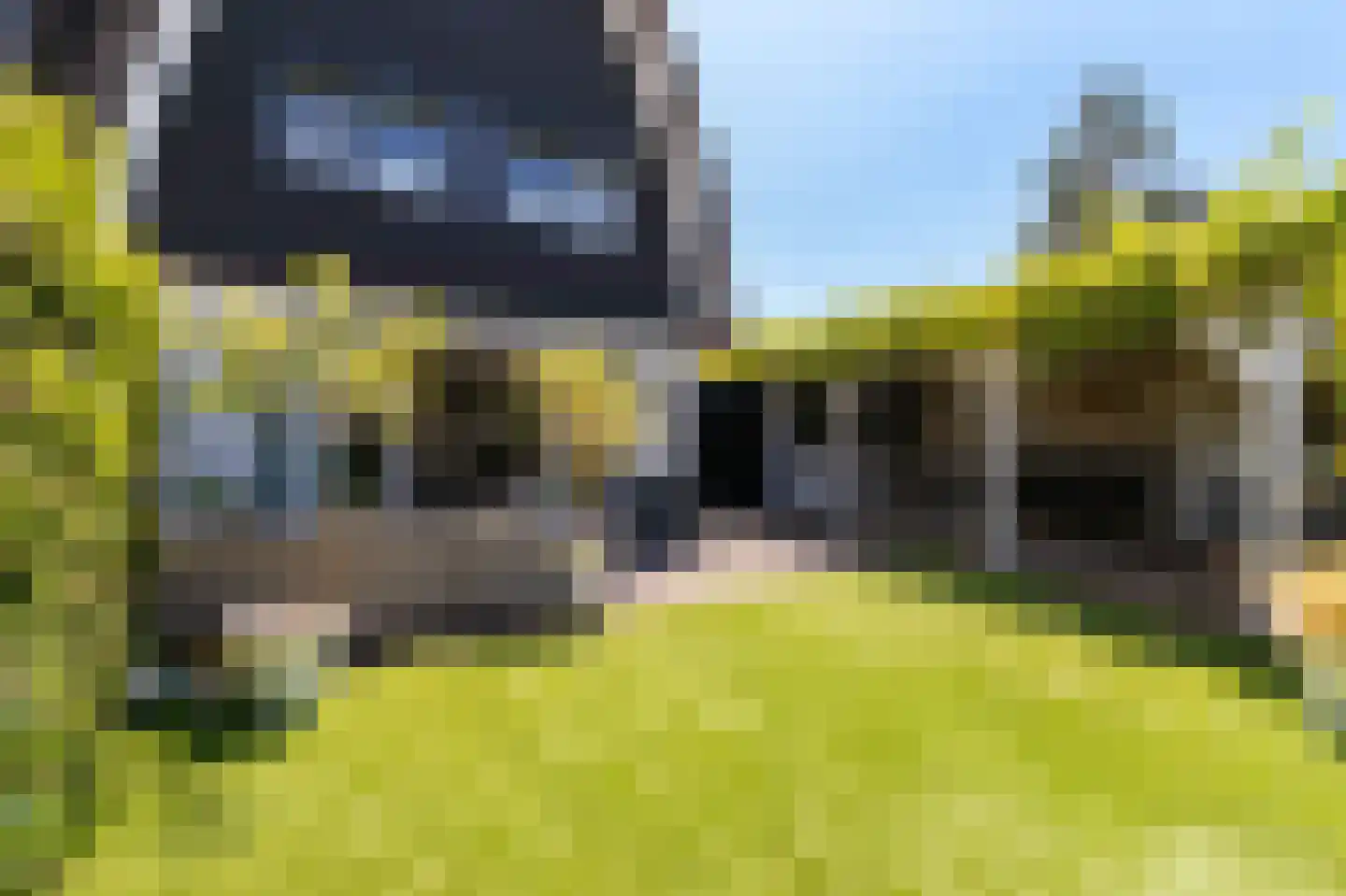 Zuiderzeedreef 1 Blaricum thumbnail 22