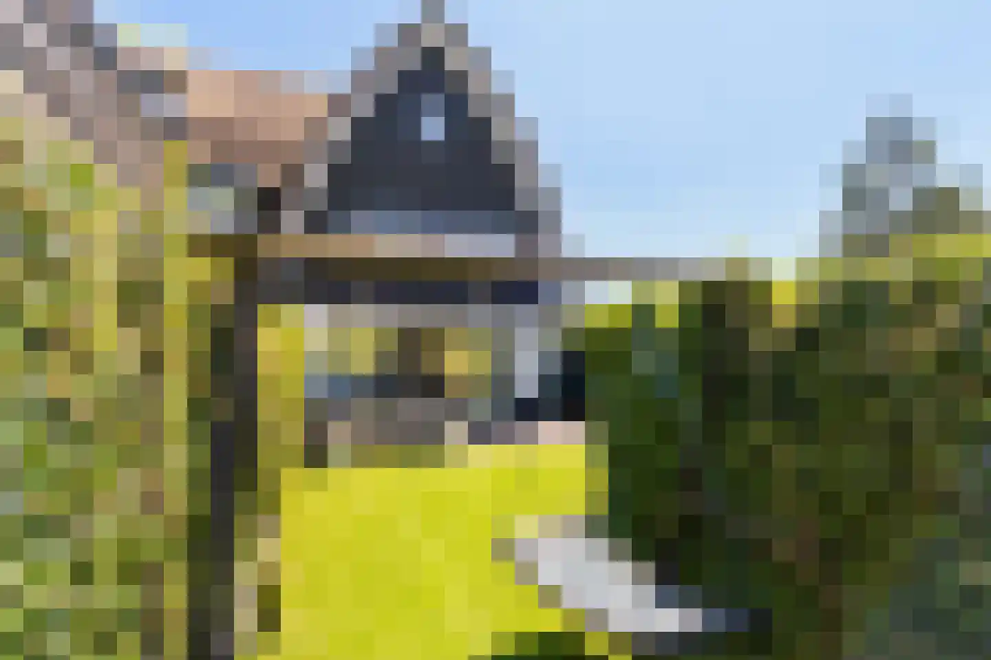 Zuiderzeedreef 1 Blaricum thumbnail 23