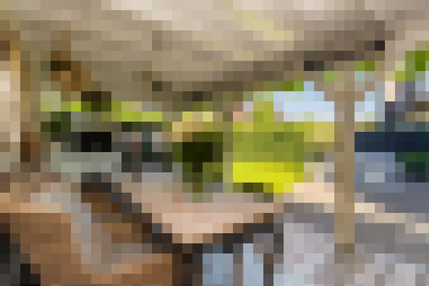 Zuiderzeedreef 1 Blaricum thumbnail 26