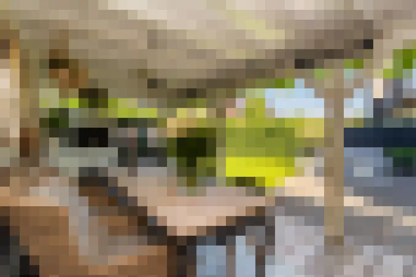 Zuiderzeedreef 1 Blaricum thumbnail 30
