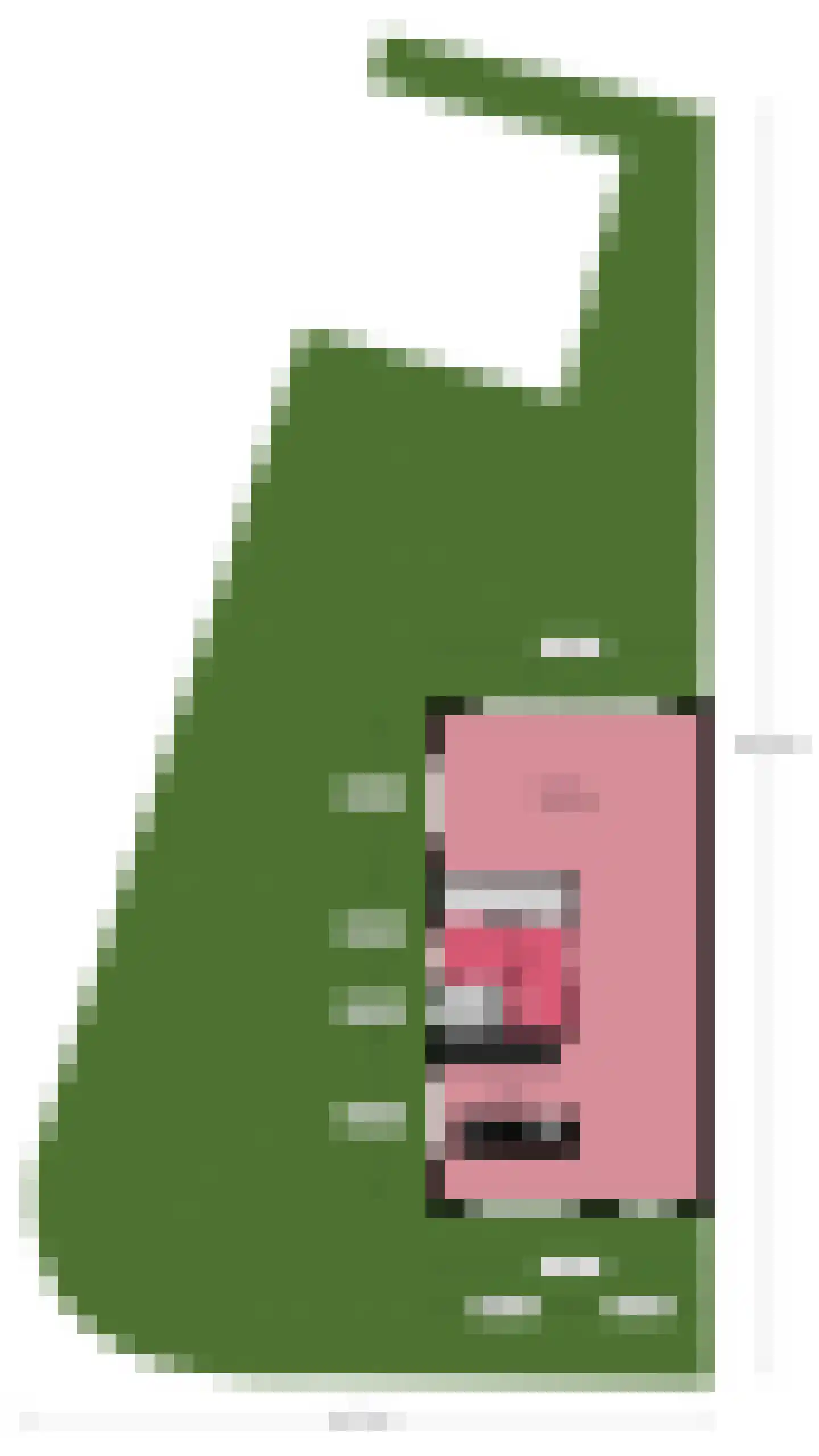 Zuiderzeedreef 1 Blaricum thumbnail 37
