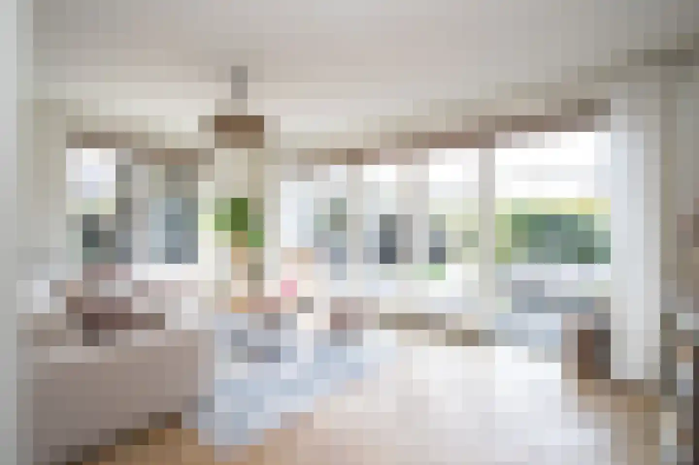 Zuiderzeedreef 1 Blaricum thumbnail 4