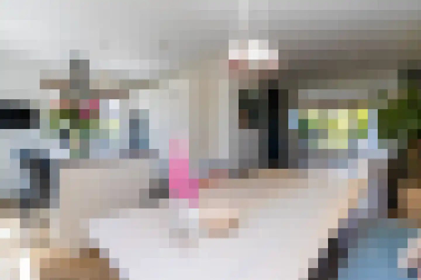 Zuiderzeedreef 1 Blaricum thumbnail 9