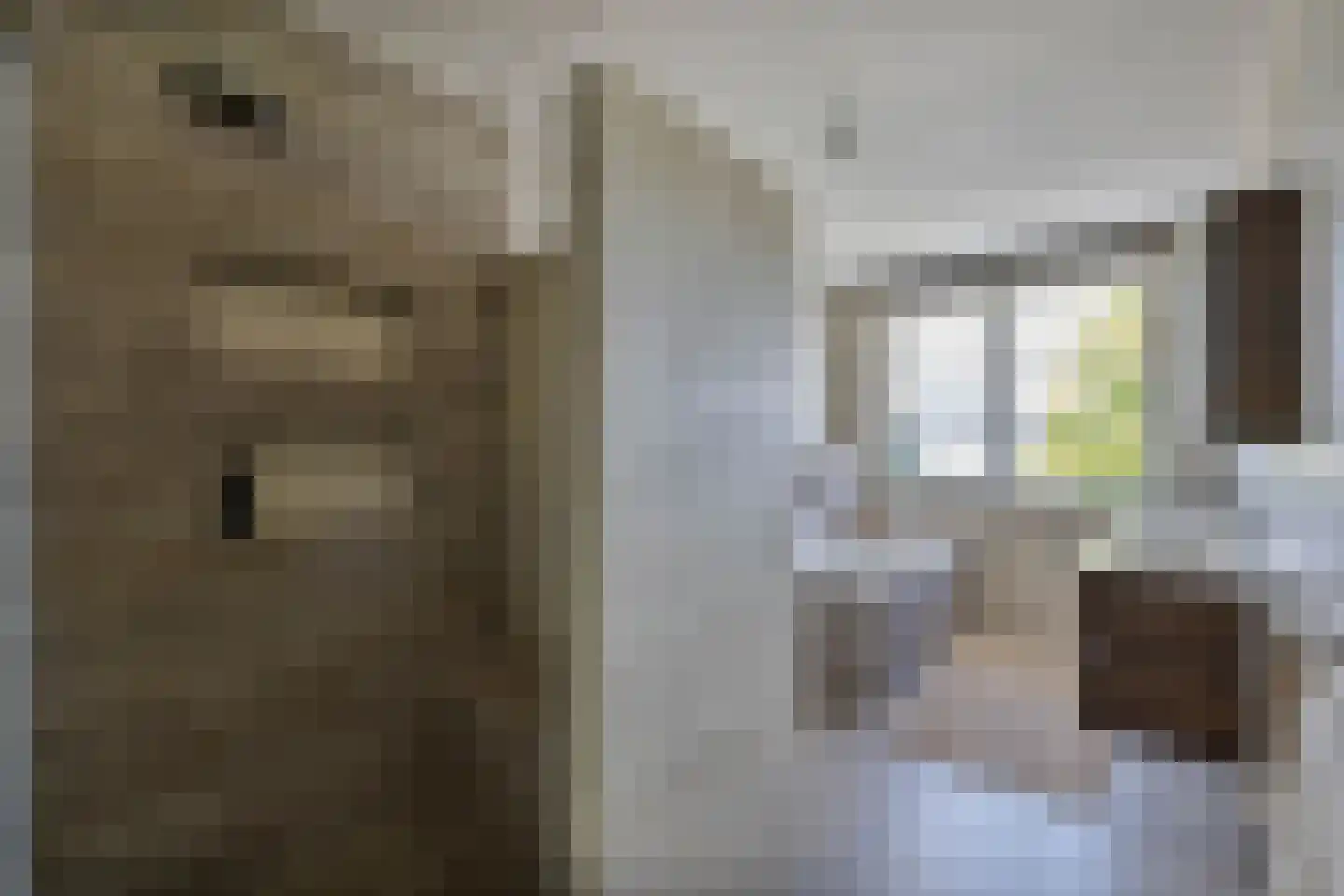 Zuiderzeedreef 10 Blaricum thumbnail 31
