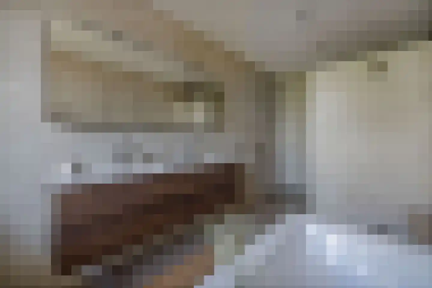Zuiderzeedreef 10 Blaricum thumbnail 33