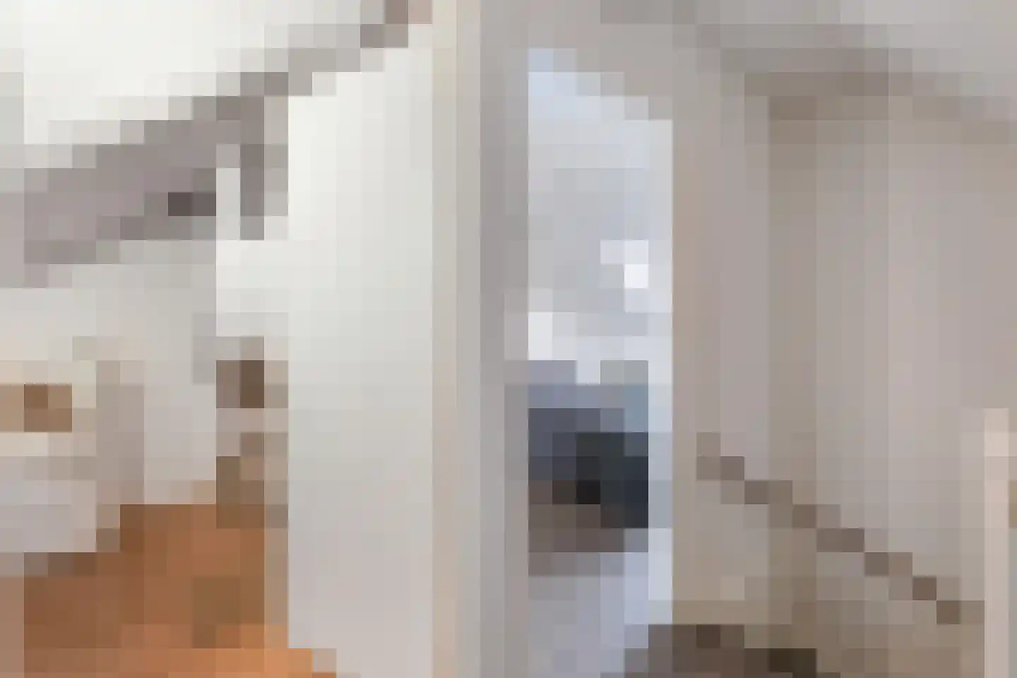 Zuiderzeedreef 10 Blaricum thumbnail 36
