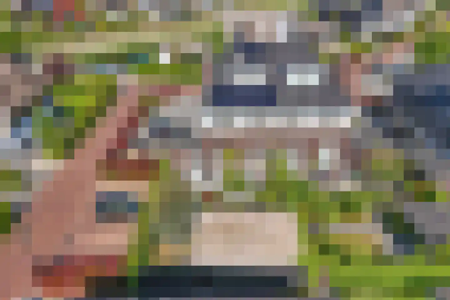 Zuiderzeedreef 10 Blaricum thumbnail 44