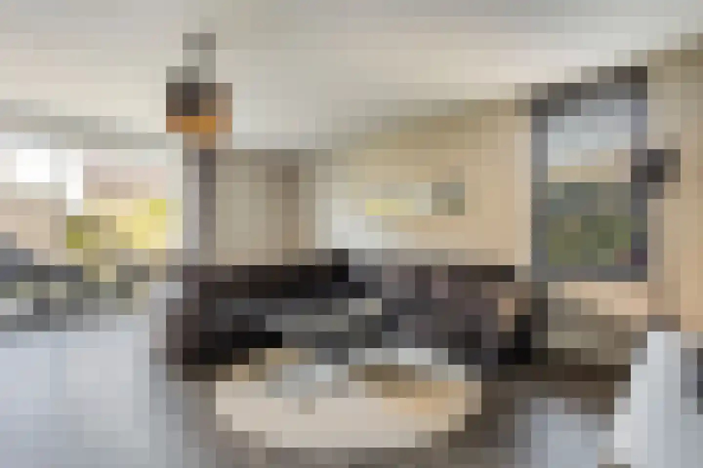 Zuiderzeedreef 11 Blaricum thumbnail 13