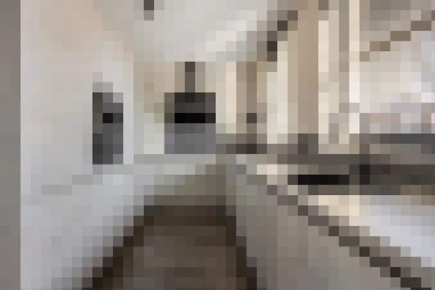 Zuiderzeedreef 11 Blaricum thumbnail 18