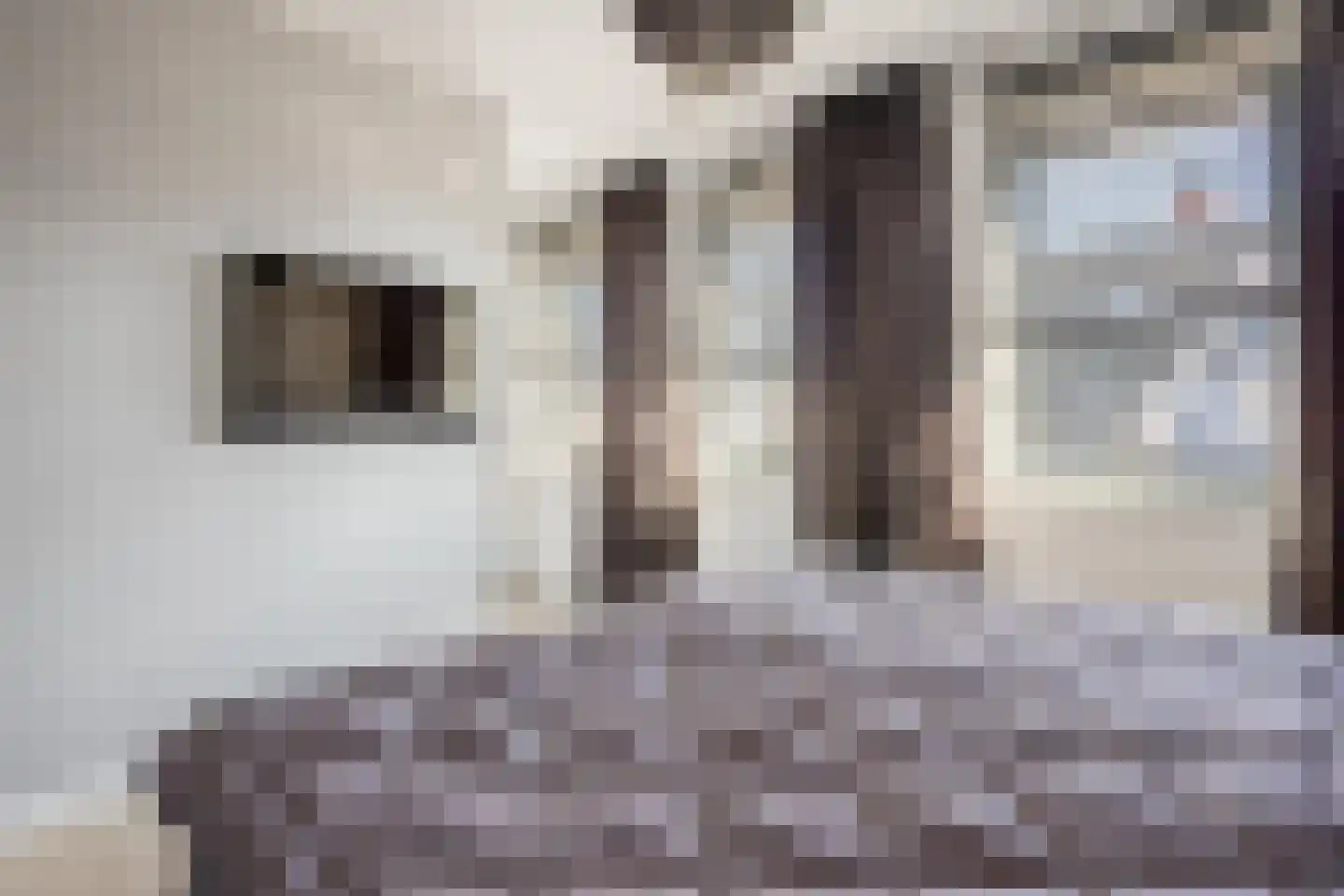 Zuiderzeedreef 11 Blaricum thumbnail 21