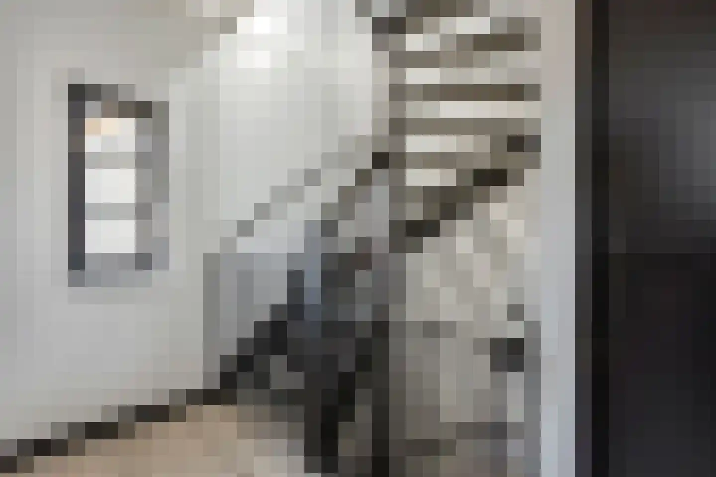 Zuiderzeedreef 11 Blaricum thumbnail 22