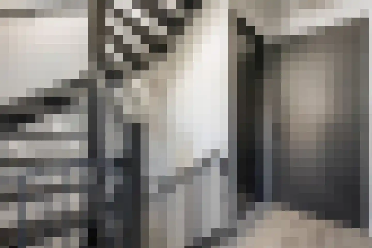 Zuiderzeedreef 11 Blaricum thumbnail 23