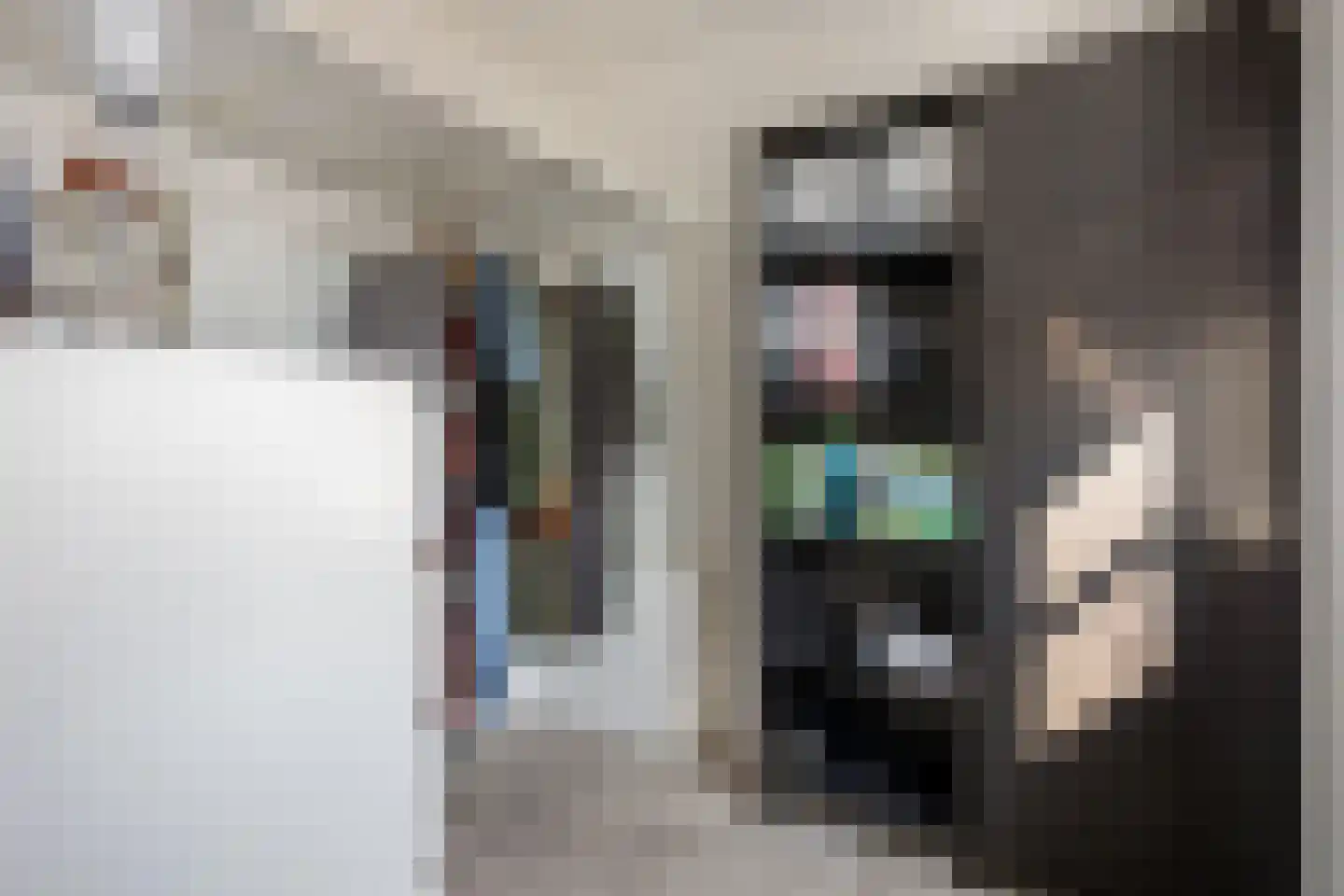 Zuiderzeedreef 11 Blaricum thumbnail 27