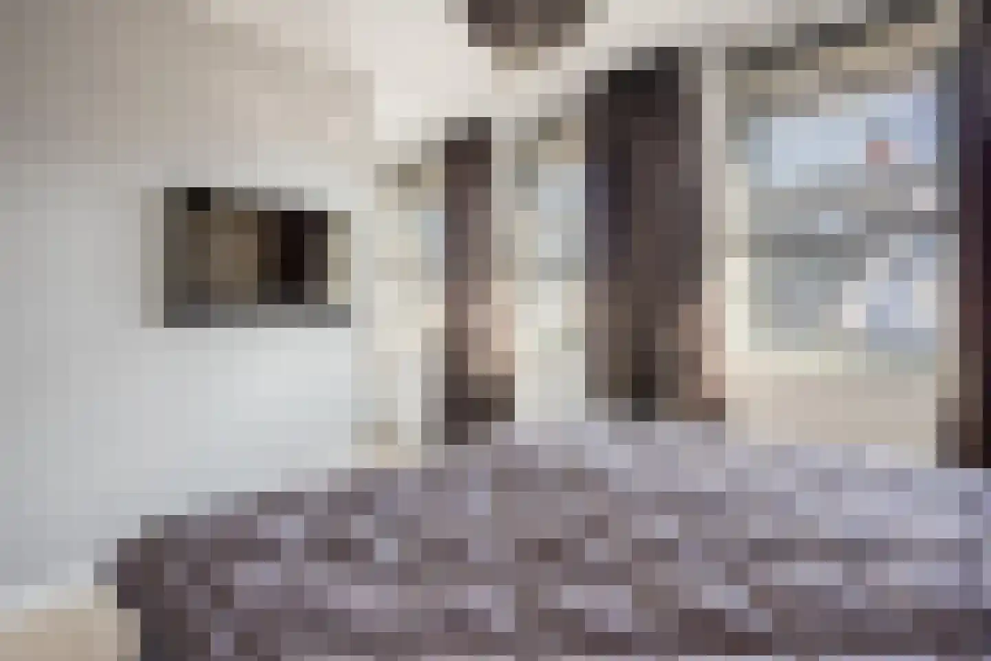 Zuiderzeedreef 11 Blaricum thumbnail 27