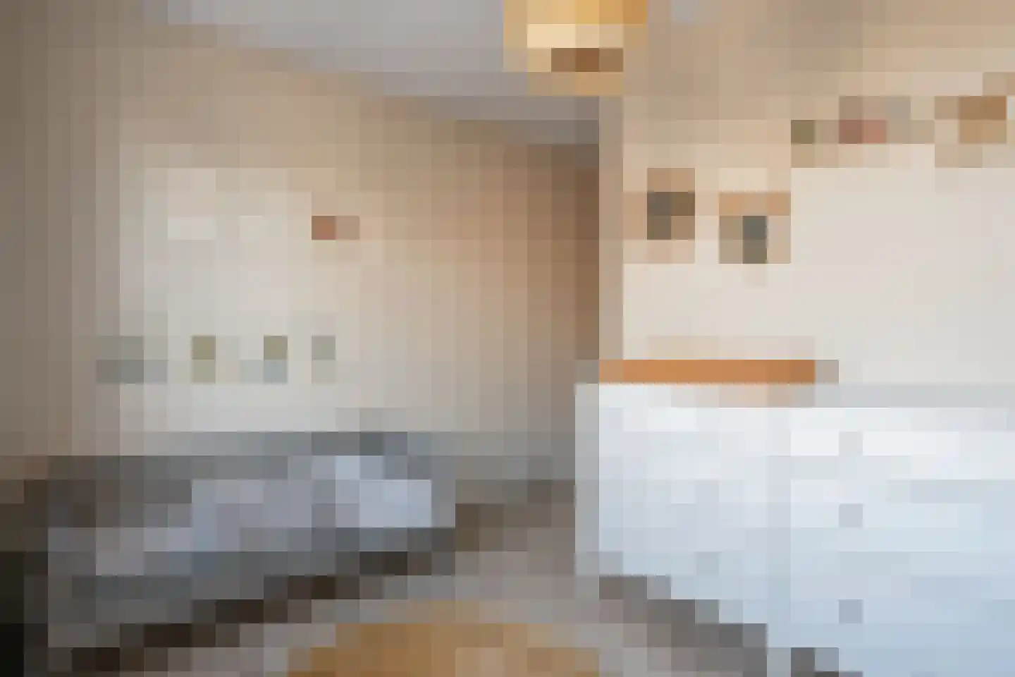 Zuiderzeedreef 11 Blaricum thumbnail 32