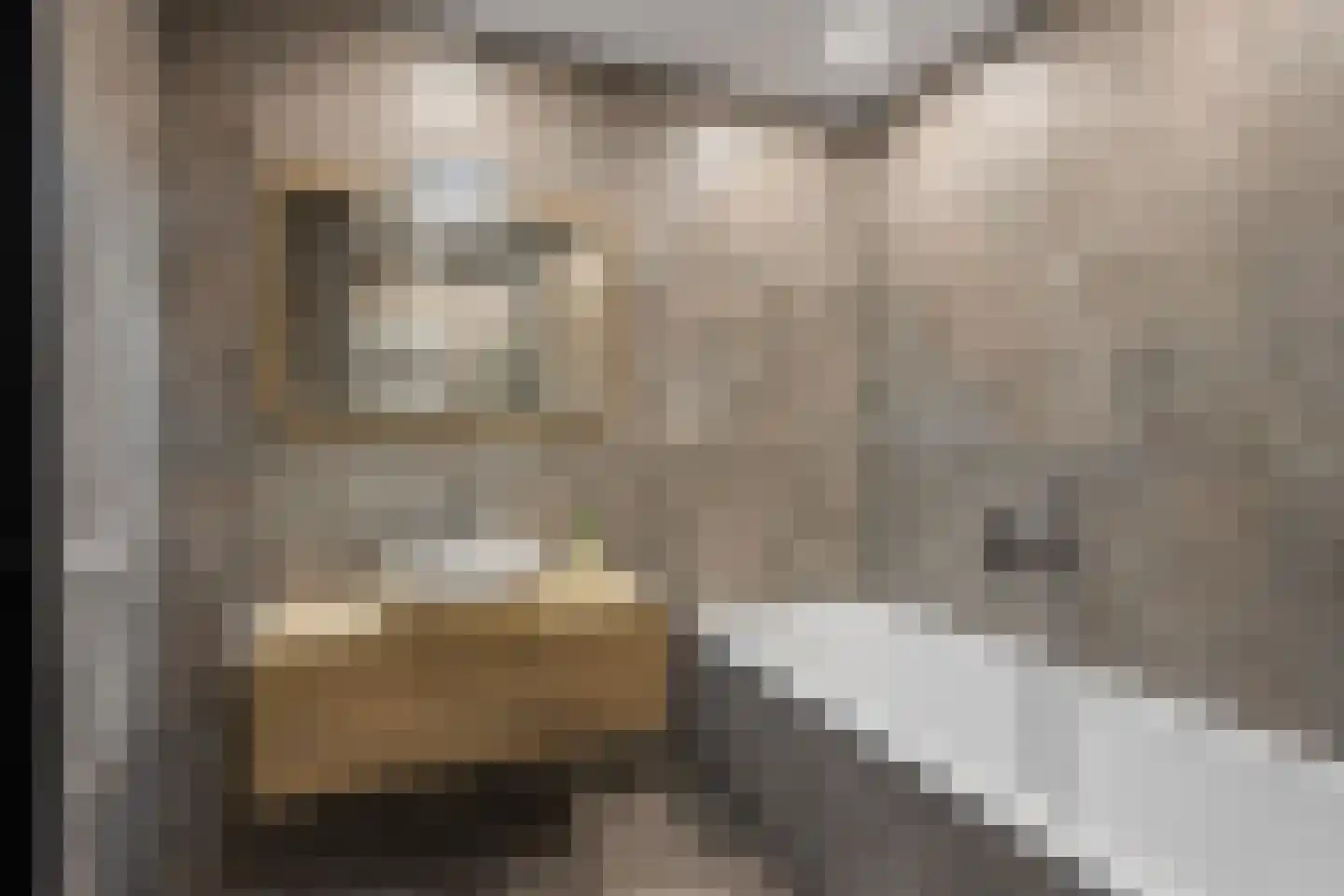 Zuiderzeedreef 11 Blaricum thumbnail 39