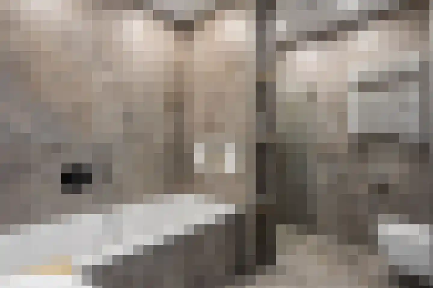 Zuiderzeedreef 11 Blaricum thumbnail 40