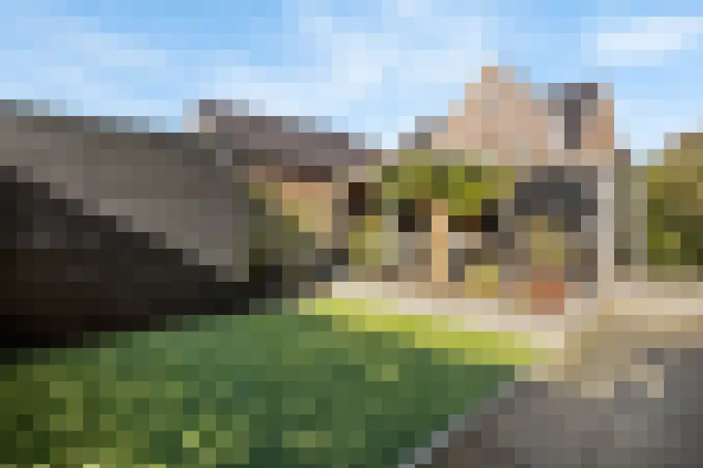 Zuiderzeedreef 11 Blaricum thumbnail 45