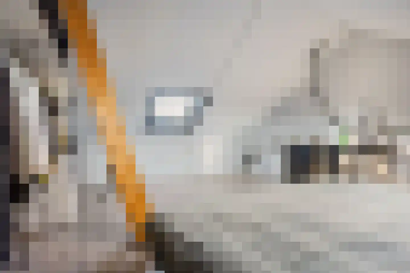 Zuiderzeedreef 11 Blaricum thumbnail 48
