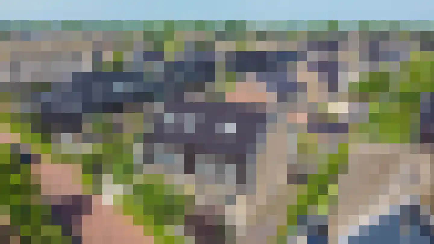 Zuiderzeedreef 11 Blaricum thumbnail 56