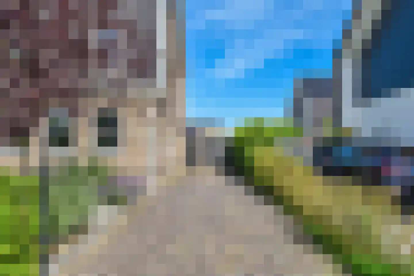 Zuiderzeedreef 11 Blaricum thumbnail 7