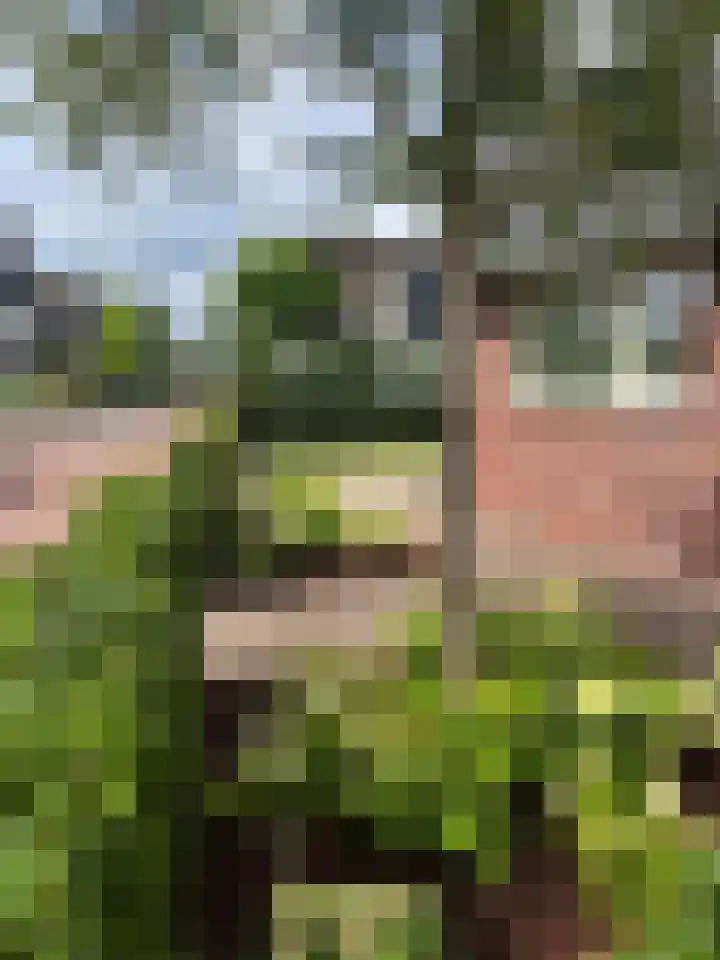 Zuiderzeedreef 17 Blaricum thumbnail 20