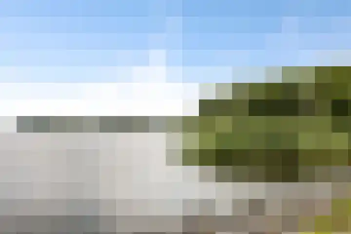 Zuiderzeedreef 17 Blaricum thumbnail 23