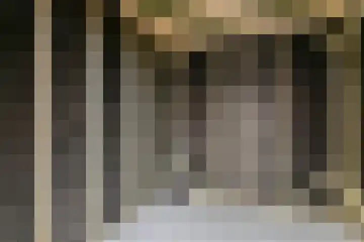 Zuiderzeedreef 17 Blaricum thumbnail 24